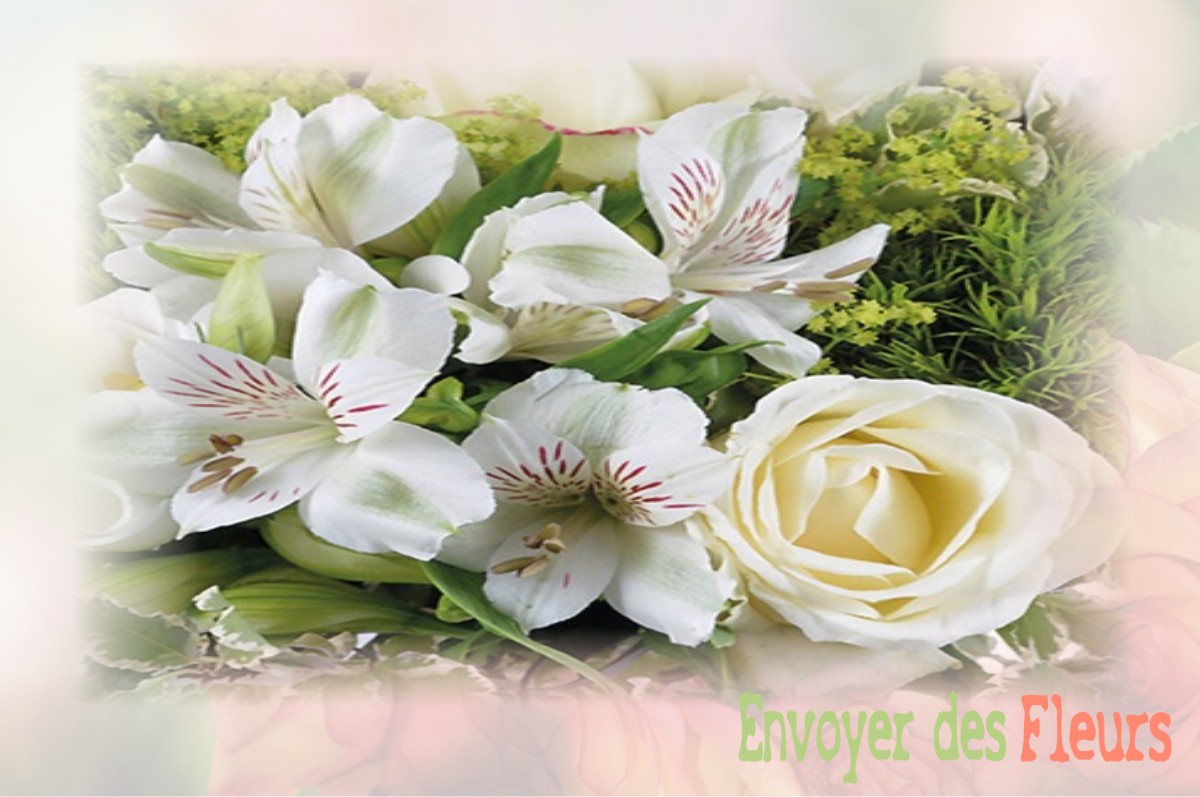 envoyer des fleurs à à VILLETTE-LES-DOLE