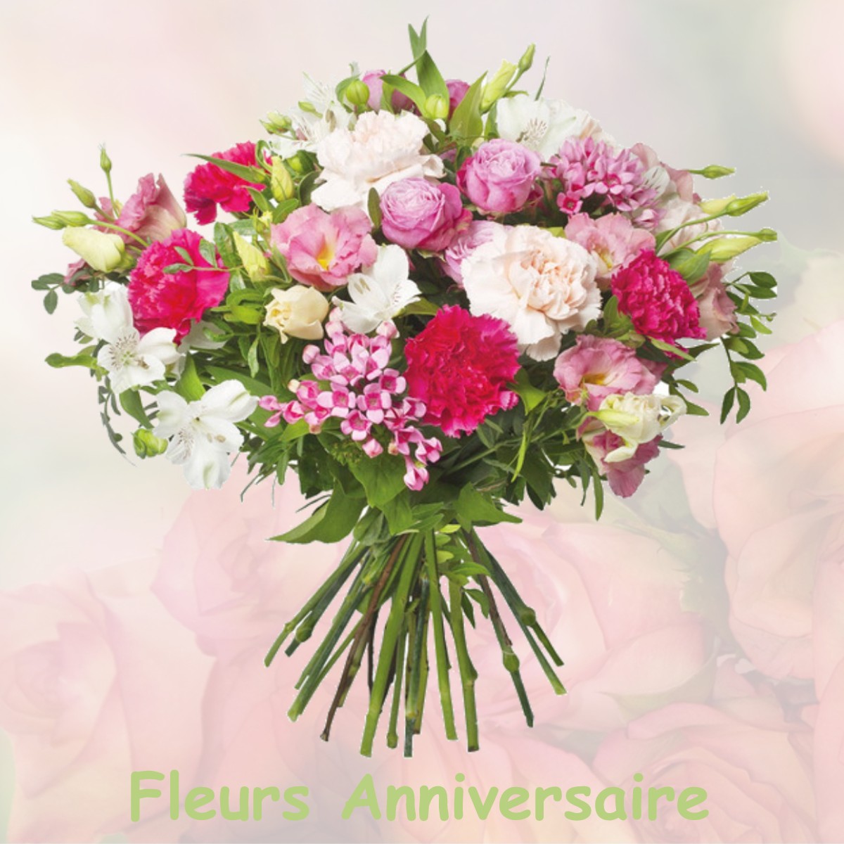 fleurs anniversaire VILLETTE-LES-DOLE