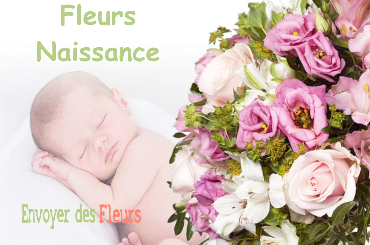 lIVRAISON FLEURS NAISSANCE à VILLETTE-LES-DOLE